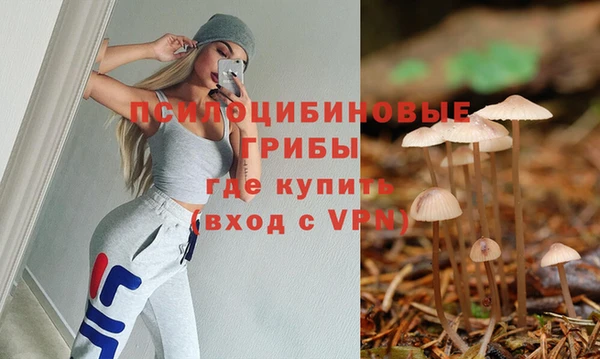 дживик Бронницы